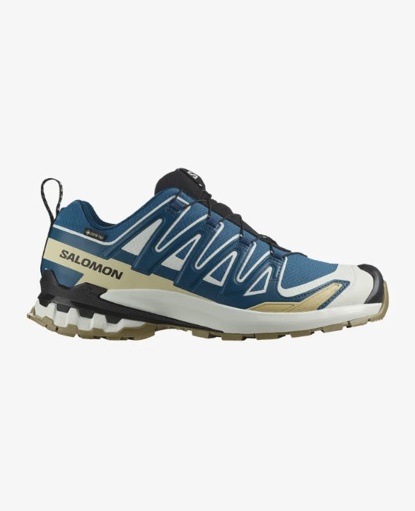 XA Pro 3D V9 GTX Shoes