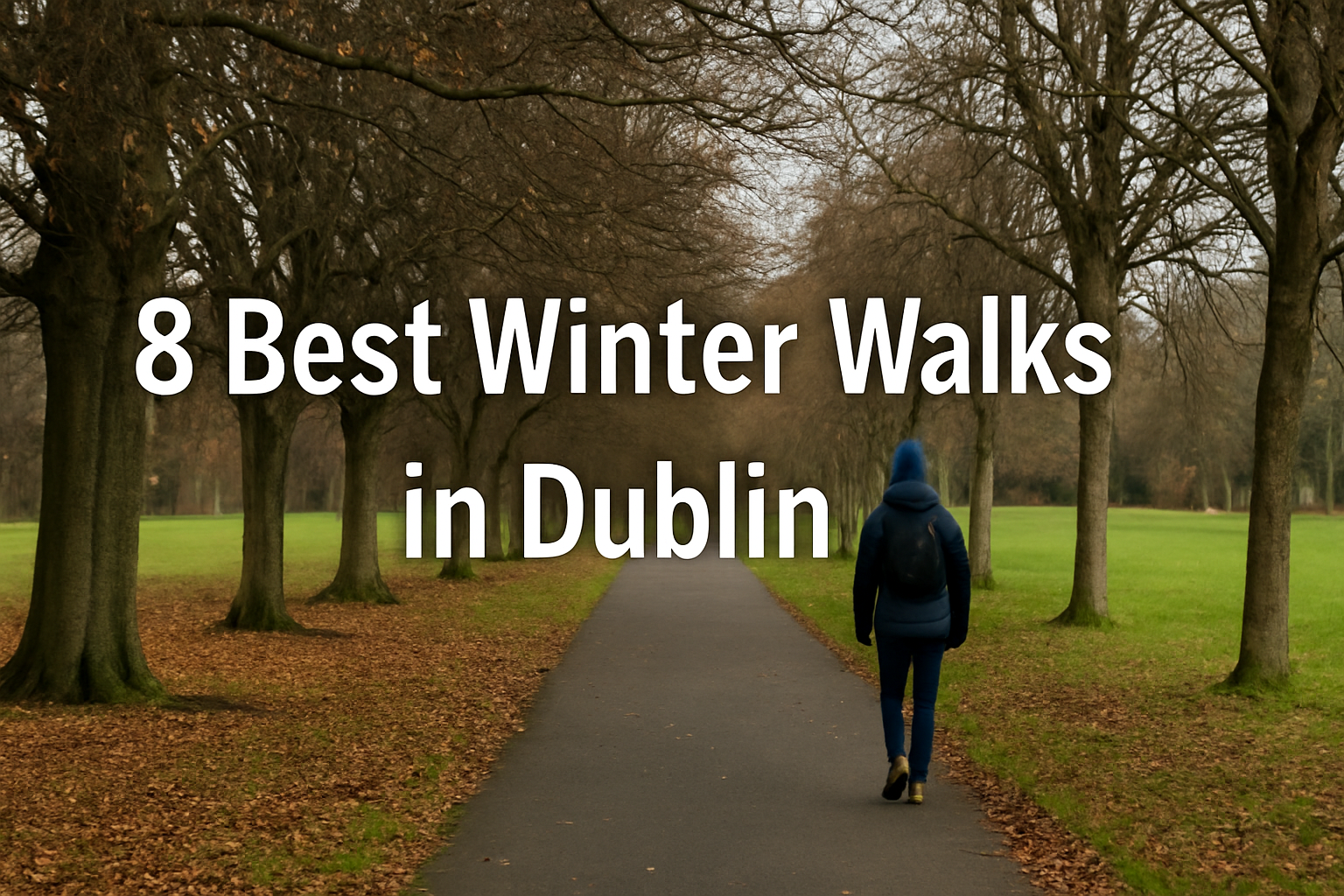 8 Best Winter Walks in Dublin