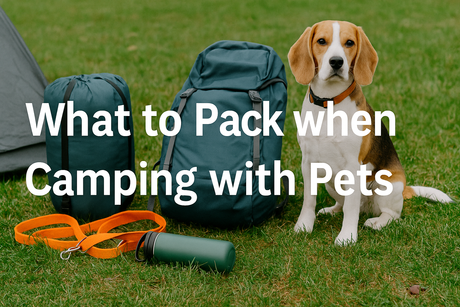 What to Pack when Camping with Pets