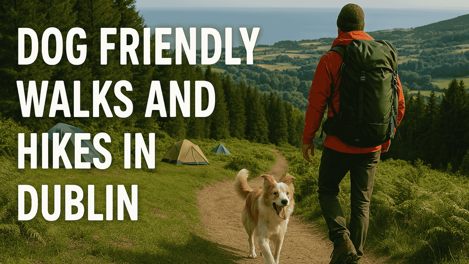 Dog Friendly walks and Hikes in Dublin