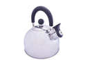 2L Stainless Steel Kettle with Folding Handle
