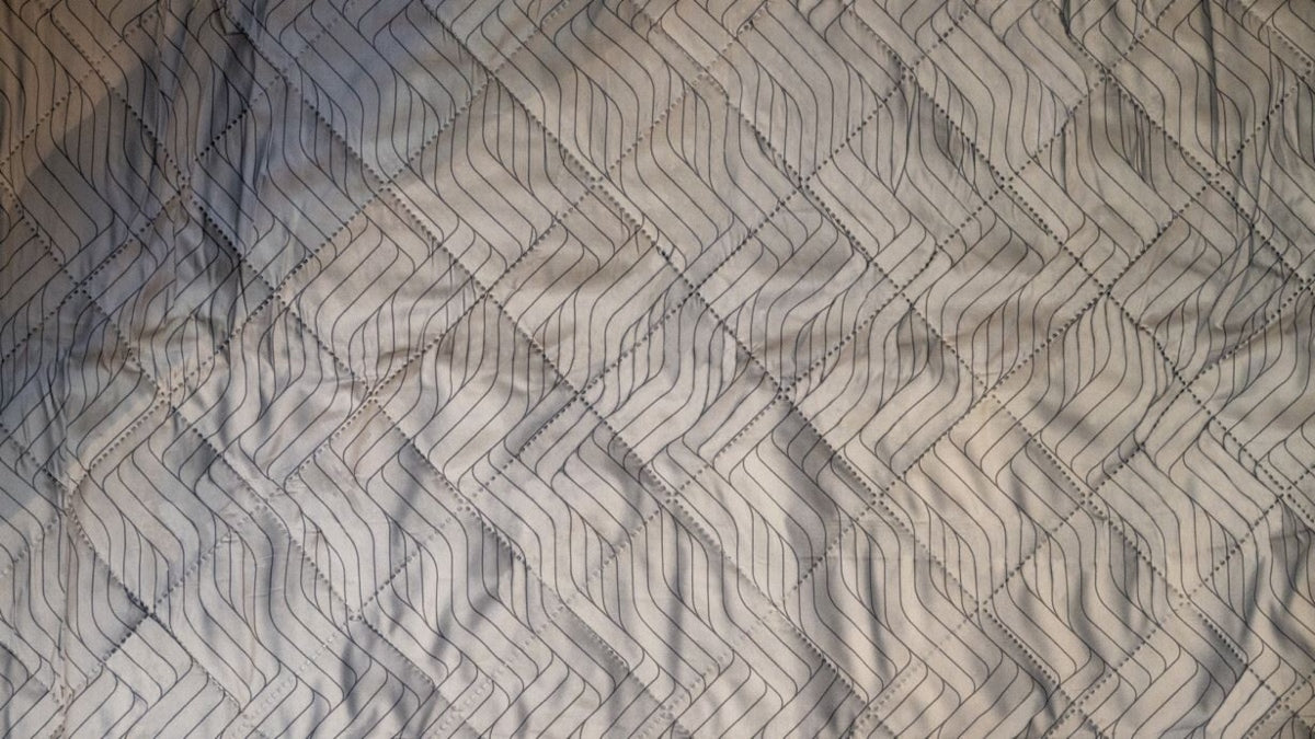 Cozy Carpet Rockwell 6