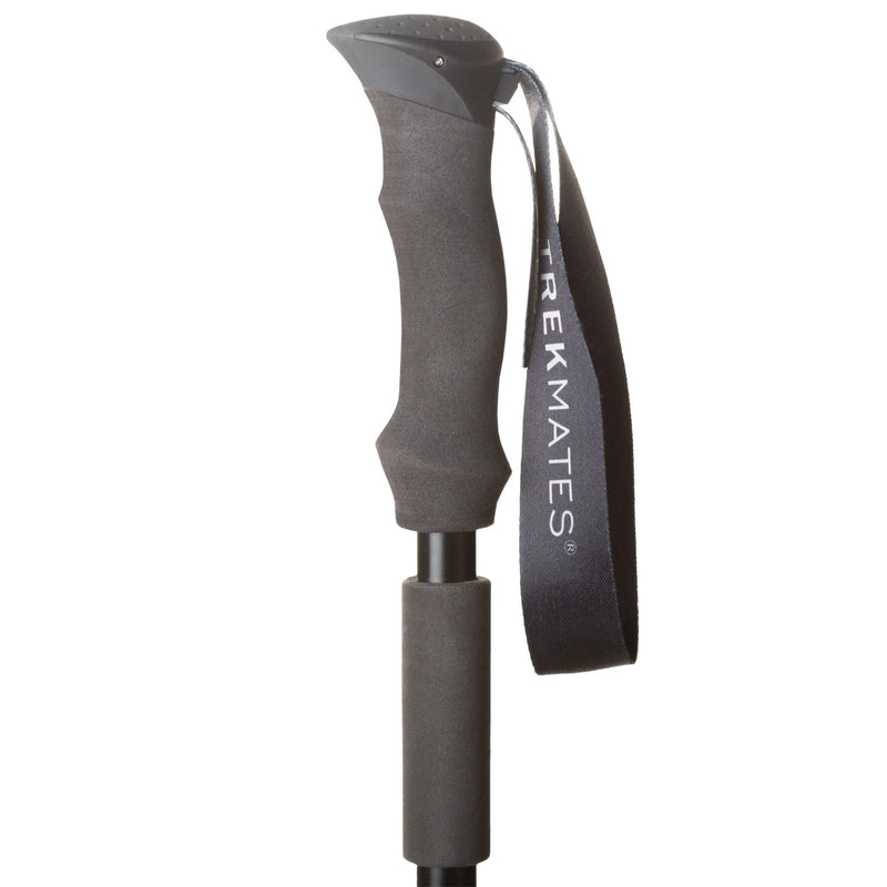 Fold Lock Walking Pole