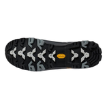 Men's Terravolt GTX Shoe