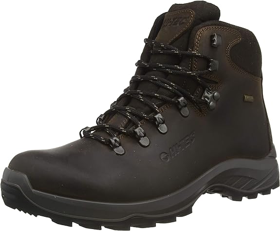 Men's Ravine Lite Waterproof Hiking Boot - Brown