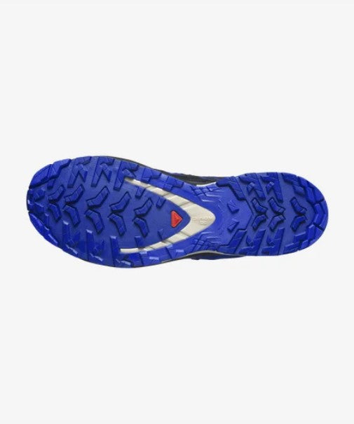 XA Pro 3D V9 GTX Shoes - Blue Print