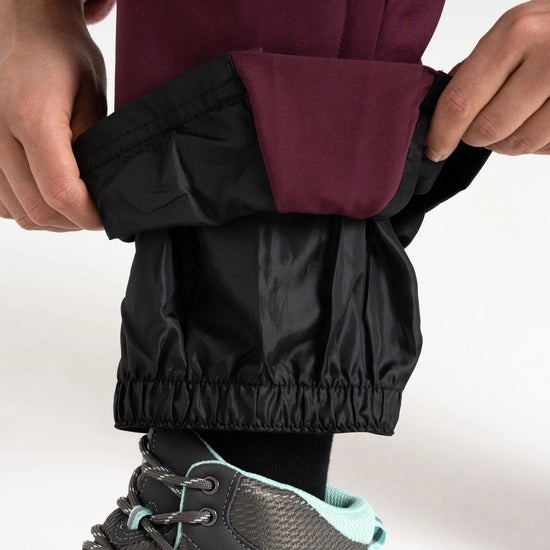 Women's Effused Ski Pant