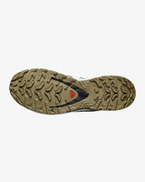 XA Pro 3D V9 GTX Shoes