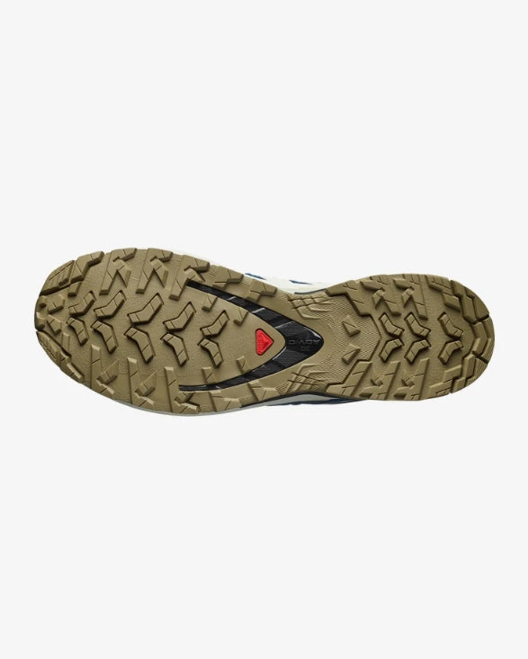 XA Pro 3D V9 GTX Shoes