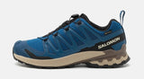 XA Pro 3D V9 GTX Shoes