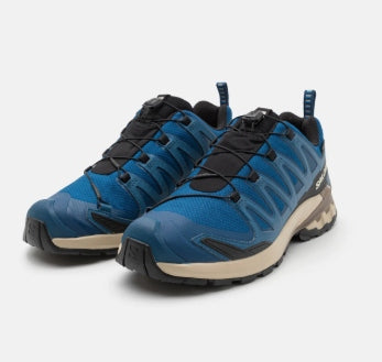 XA Pro 3D V9 GTX Shoes