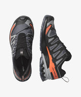 XA Pro 3D V9 GTX Shoes