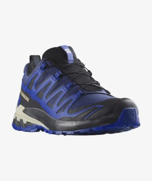 Salomon XA Pro 3D V9 GTX Shoes | Fast Delivery | OAS.ie – Outdoor