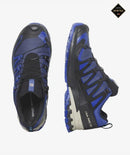 XA Pro 3D V9 GTX Shoes