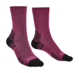 Women's Hike Lightweight Merino Performance Sock