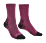 Women's Hike Lightweight Merino Performance Sock